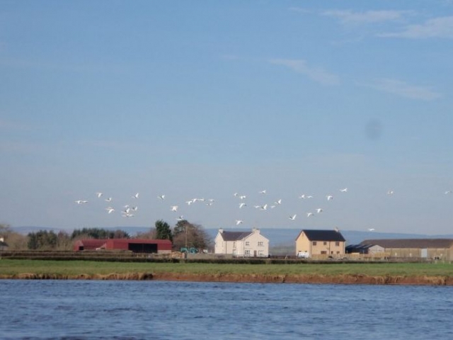 Beautiful surroundings